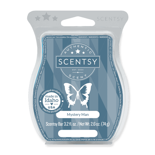 Picture of Scentsy Mystery Man Scentsy Bar